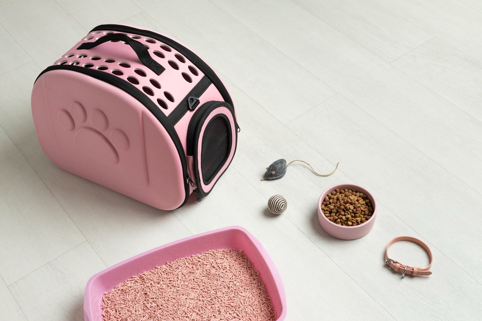 So wählst du das richtige Katzenspielzeug für deine Samtpfote