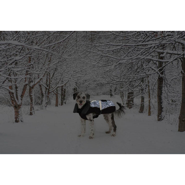 V4H512E60A16CF84D935DFACD5C2A2724A1R5332394P2