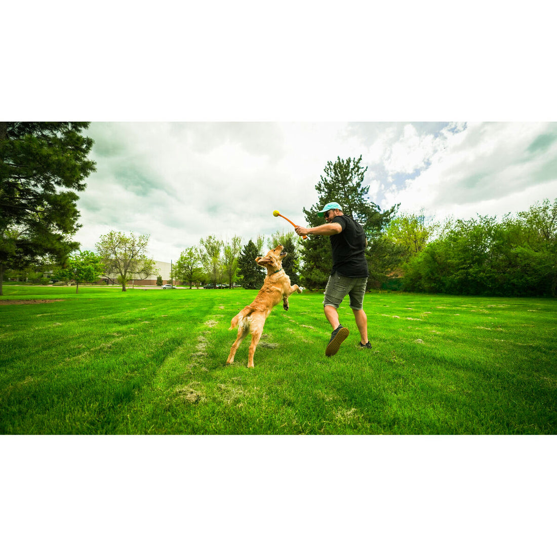 V4H89CDD0D4981F36CD8E639F7E4776CDC4R5333734P4