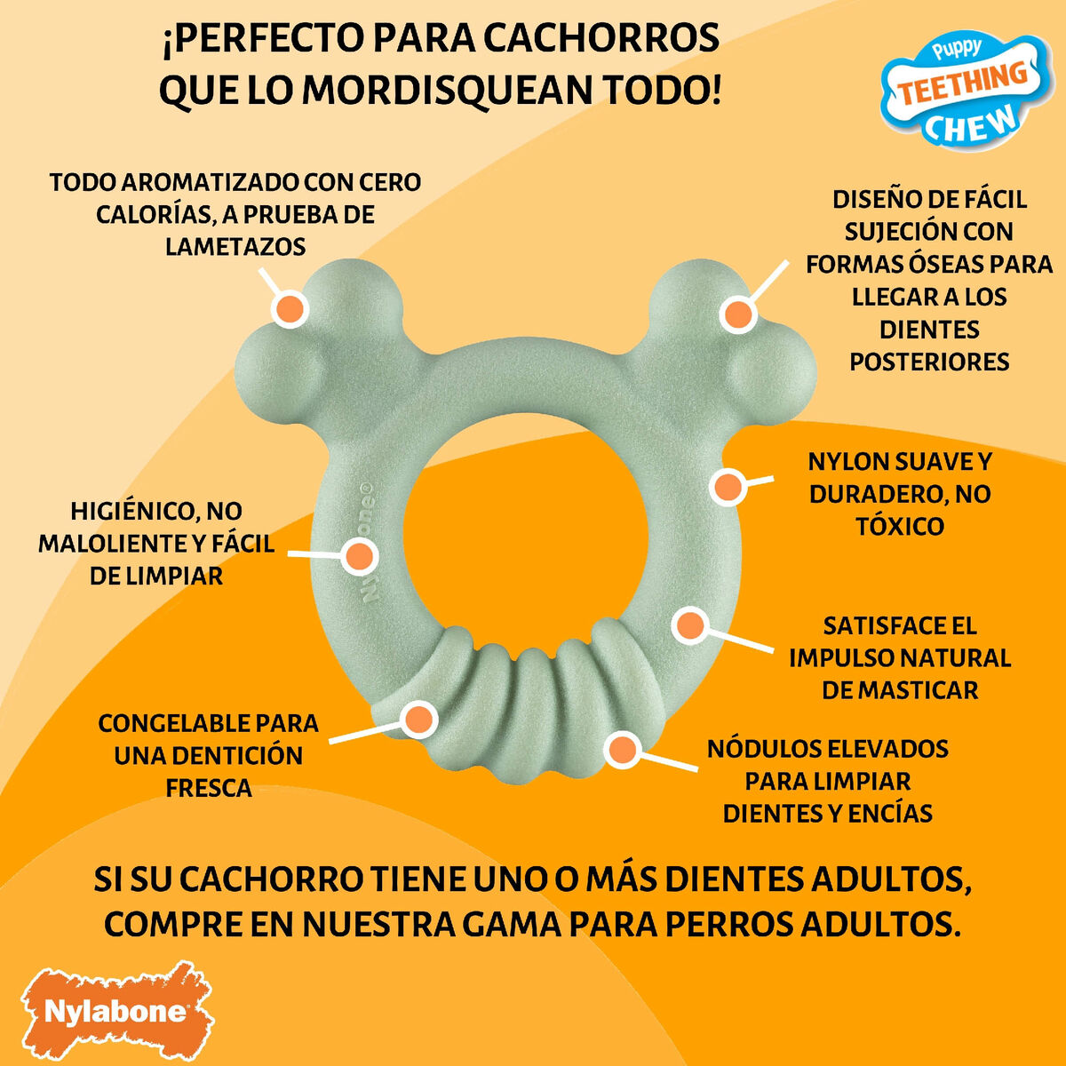 V5H510A54B15A25B9AA54E70FA8EDBB287BR5574726P6