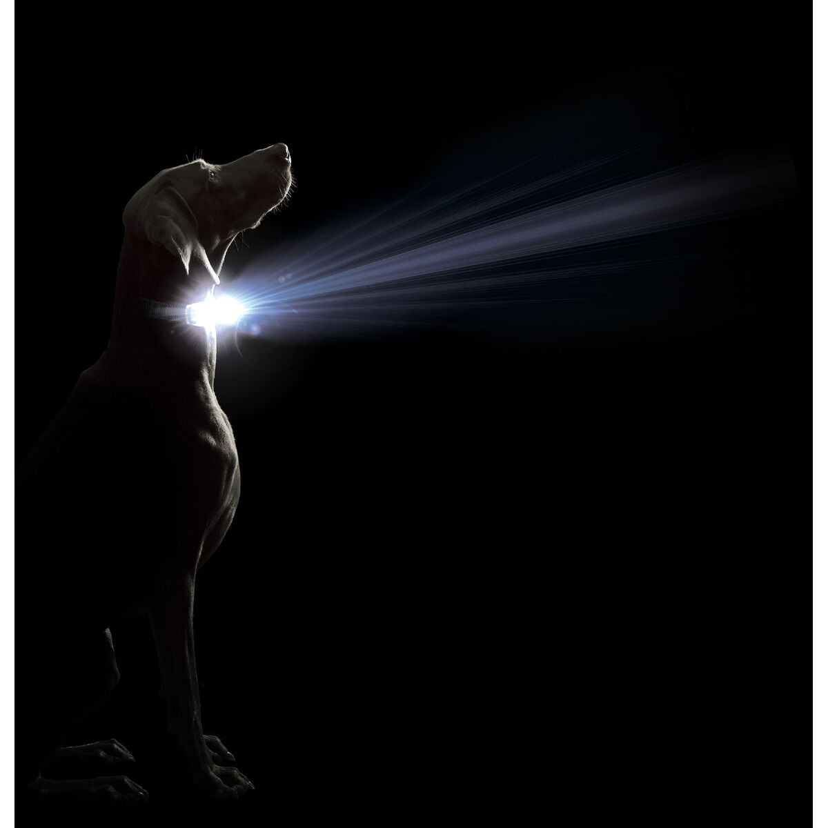 V4H5335329520B74603F07425C0AE450295R5554884P2