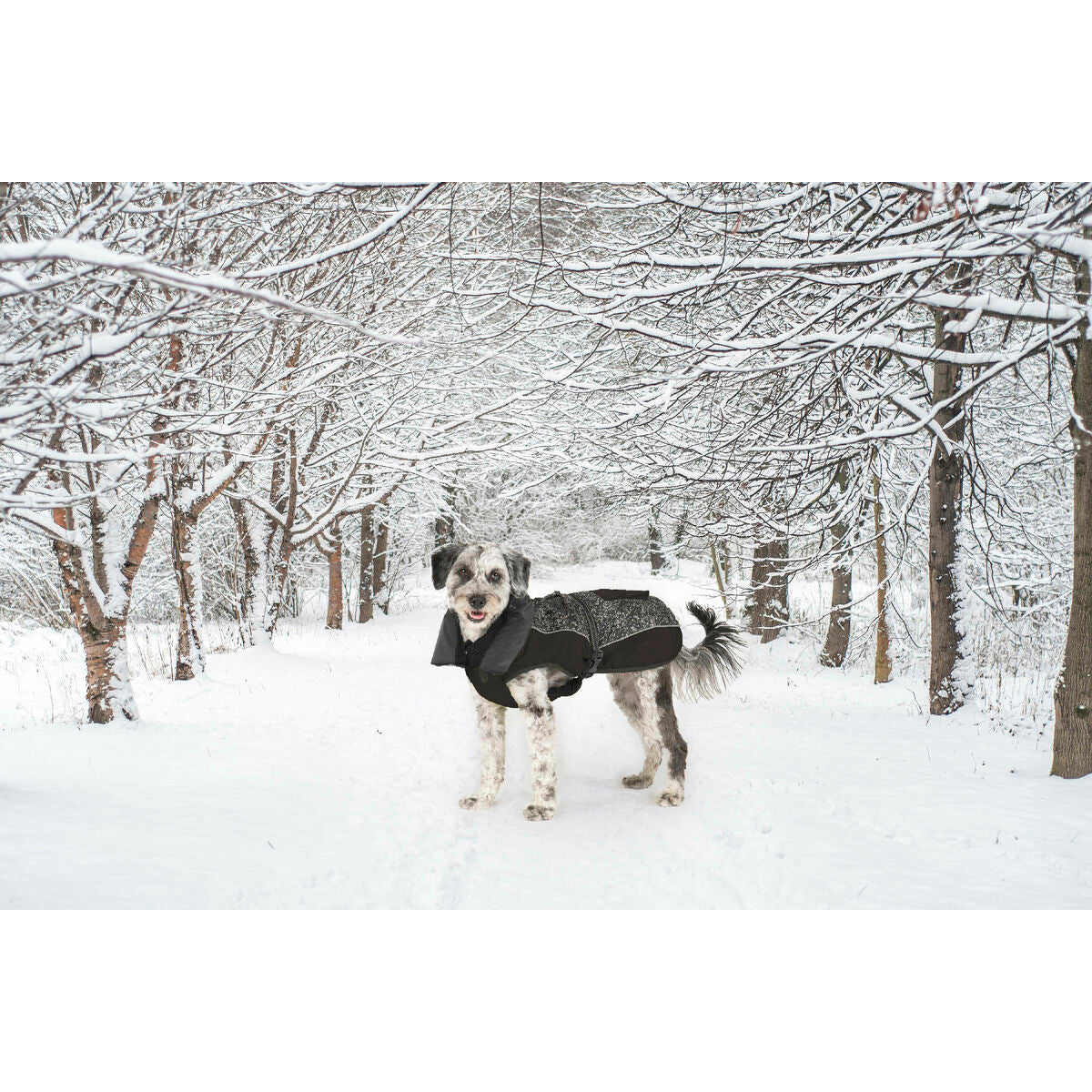 V6HC4CB51E772E2A92ACE6362526FE675CER5332480P8