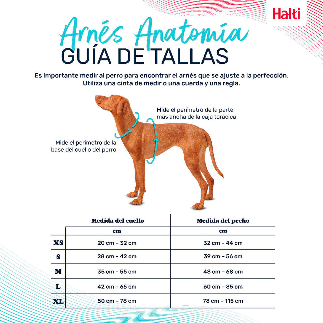 V6HE4E7823433778ABC00A723BEBD4E4949R5328472P4