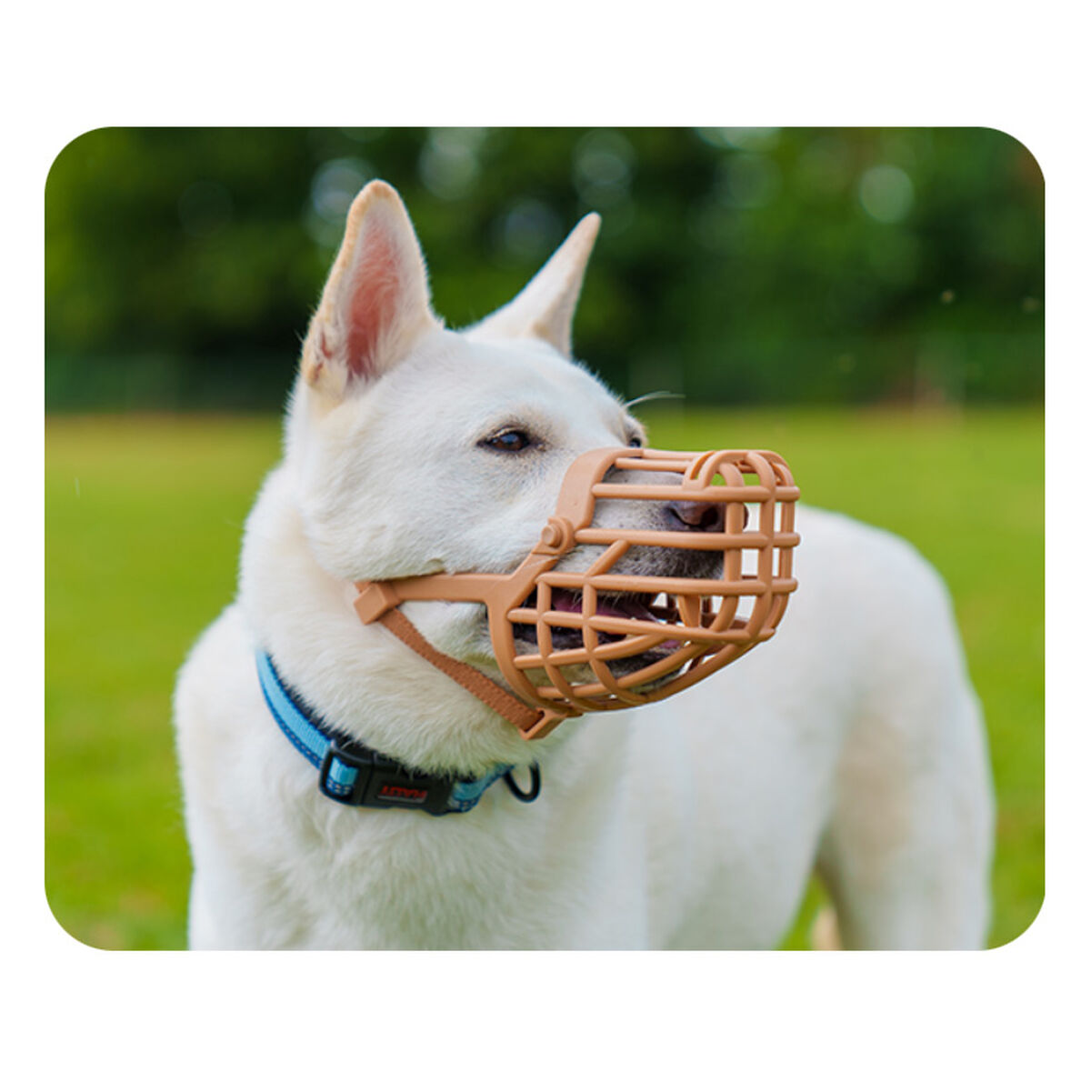 V4H1CAE426BC423AD88378E5DA7D4C99615R5327590P3