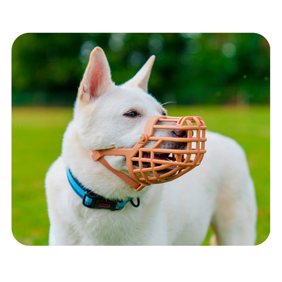 V6HA56A2F7B1477BE57DDF638EA102935ACR5327566P3