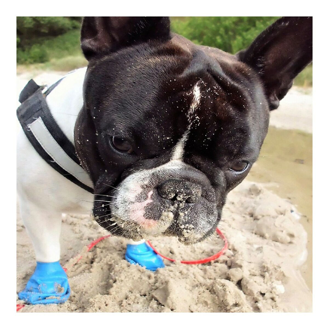 V10H5817F0921E6D1BB228DF026B999CBAFER4986966P5