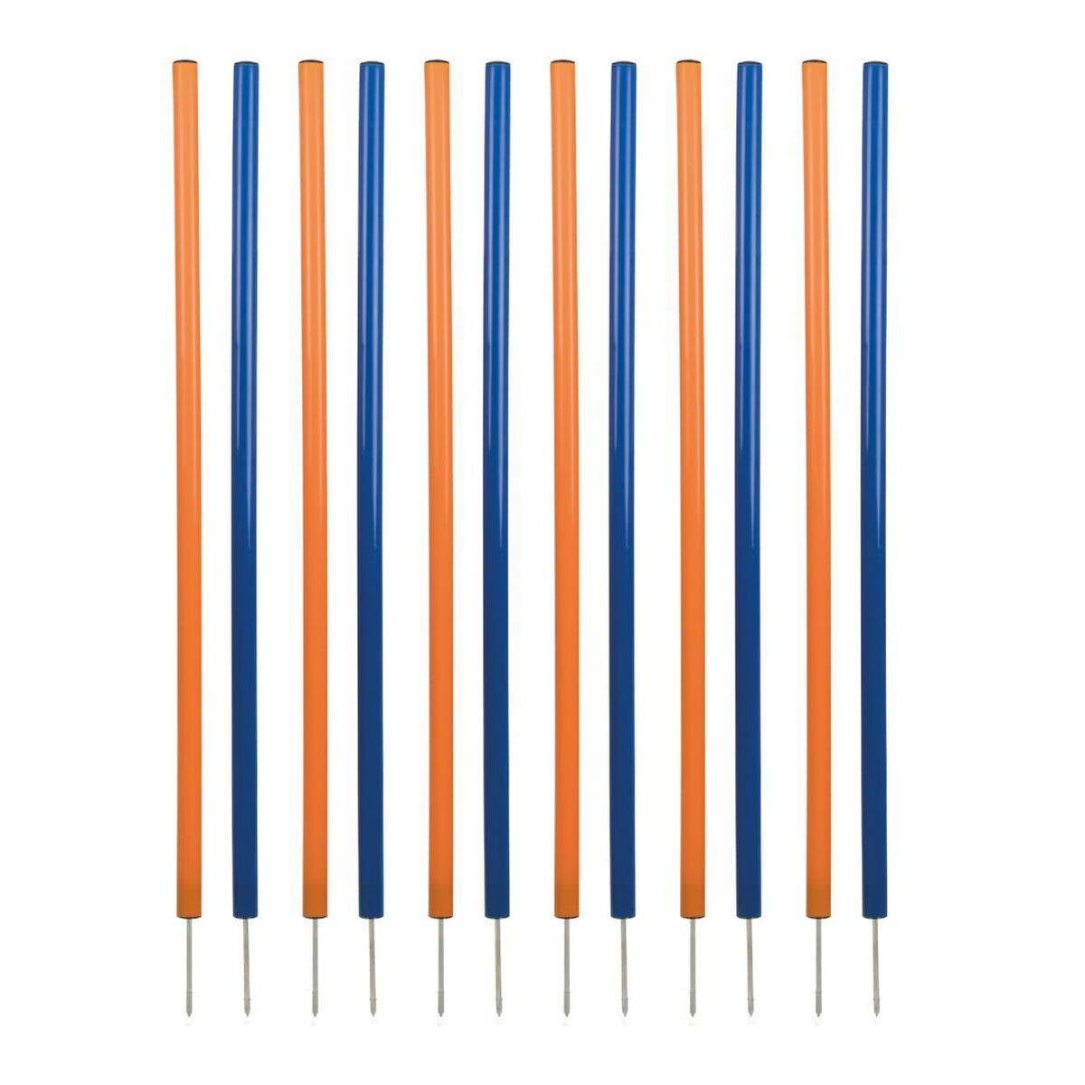 V5H0E1D33632766FA60CE1E5A698BCAF1E9R5763181P1