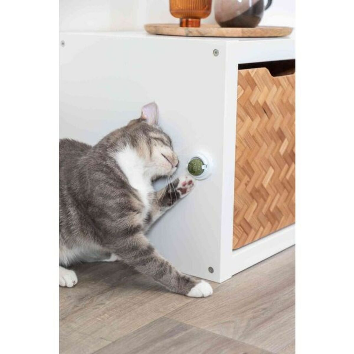 V8H770A42AB6800FE15071515BC0361F766R6606066P3