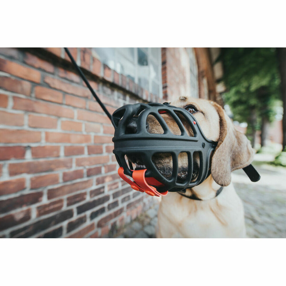 V8HF4DAE80AE776107B1655C2C37066B816R5597929P2