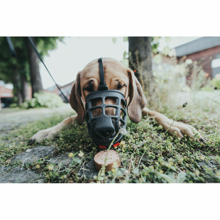 V8H771AF0D33BF194EEA2063116AC0CB767R4389382P2