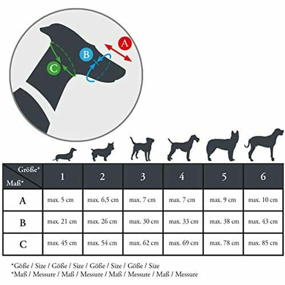 V7H2F5D4D23E6E22F83C6AABB8EE8573DD4R2386981P2