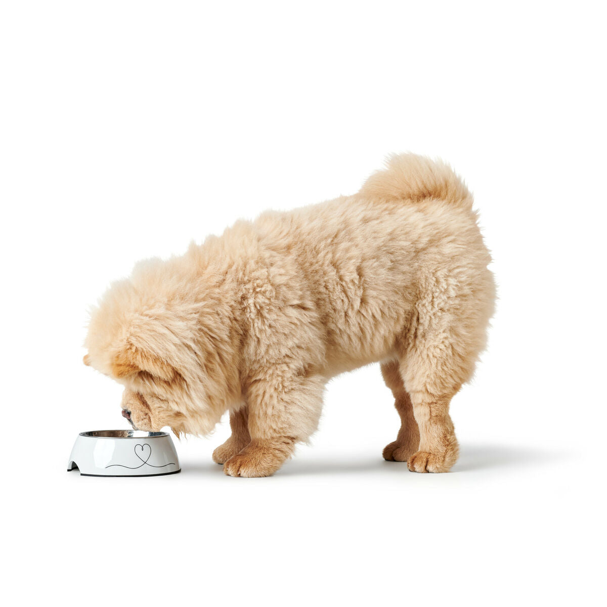 V4H7622BB8593D09397B254A597632ECED1R5574370P2