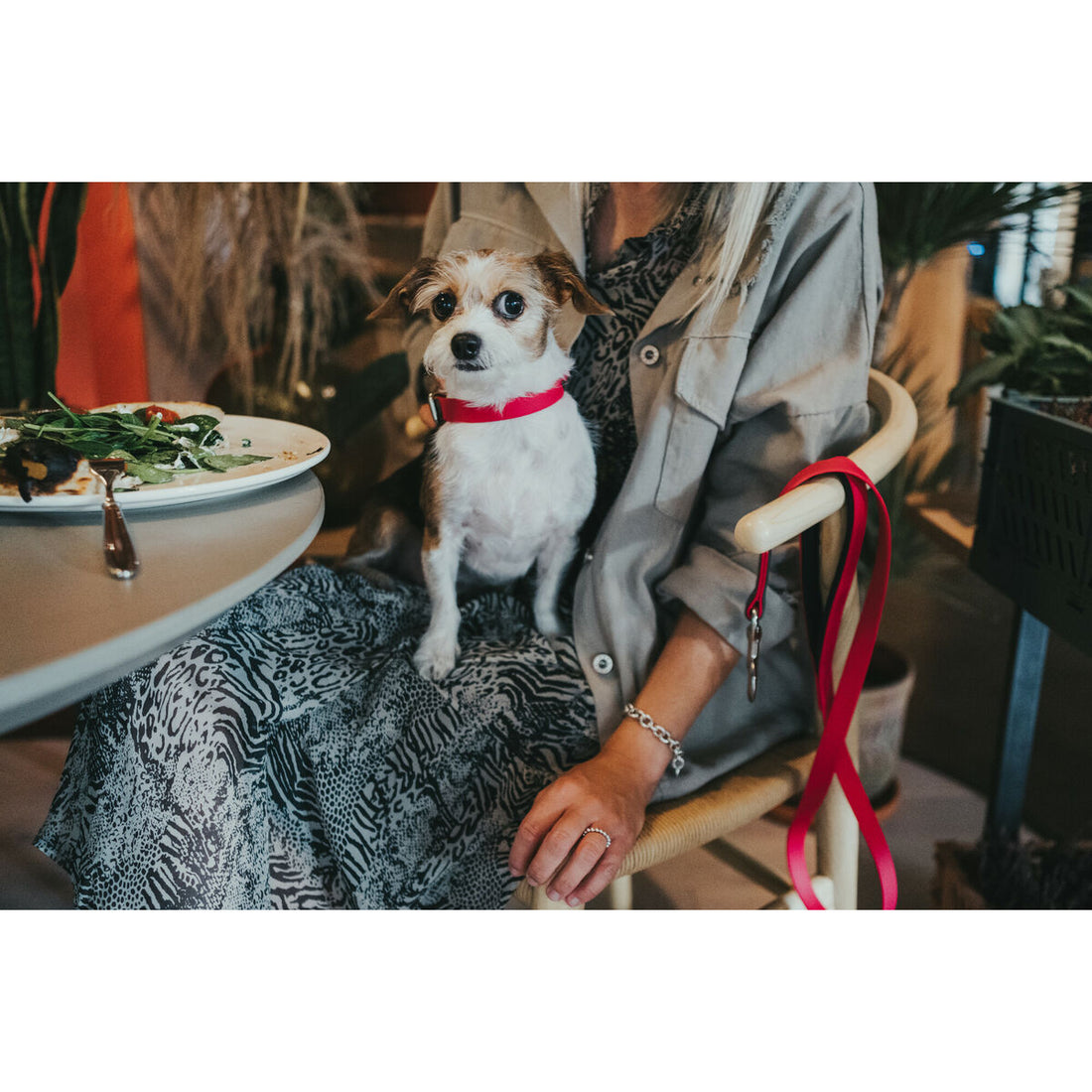 V8H2C55909309DBD7FA7F3383DAD4B5F7FFR3622791P4