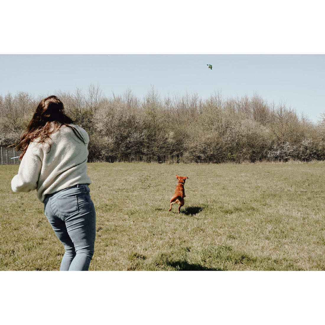 V4H4993B7F11AE04677988EEB30E3839F49R5333765P7