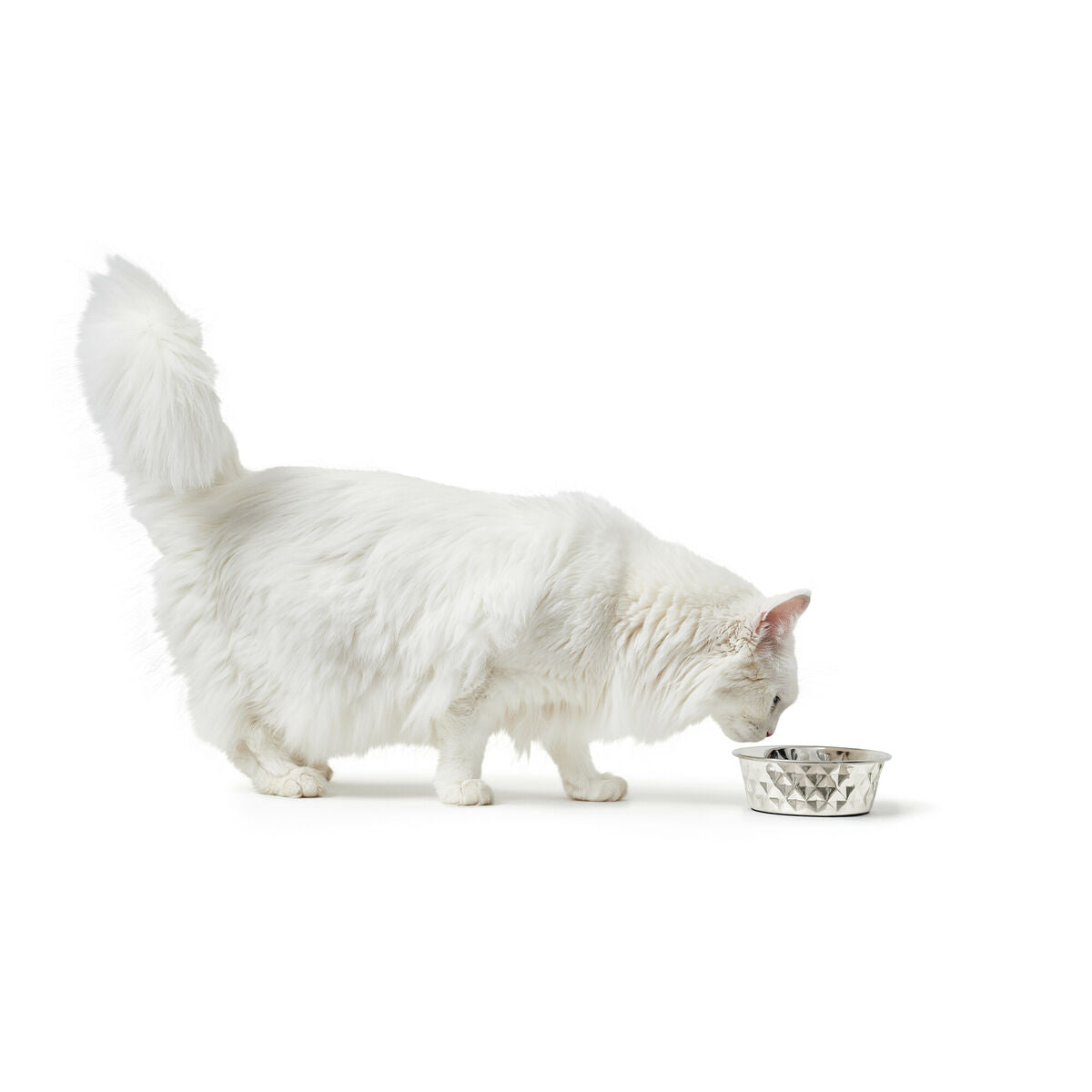 V5HCE6EA4DFABC93B3978D2B2629D796FA2R4438106P3