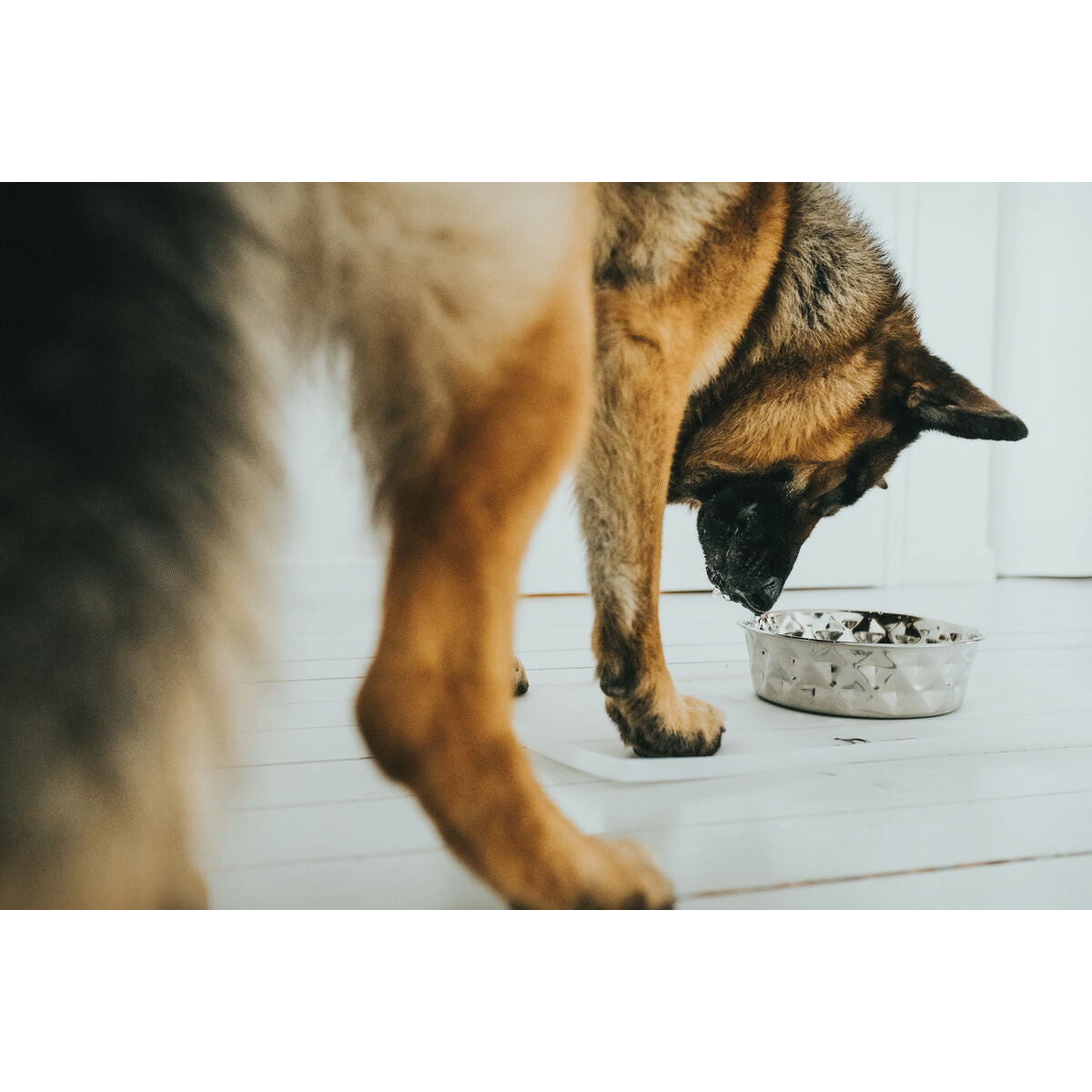 V7H48399165F75580758F24E643BA09EB35R4438093P5