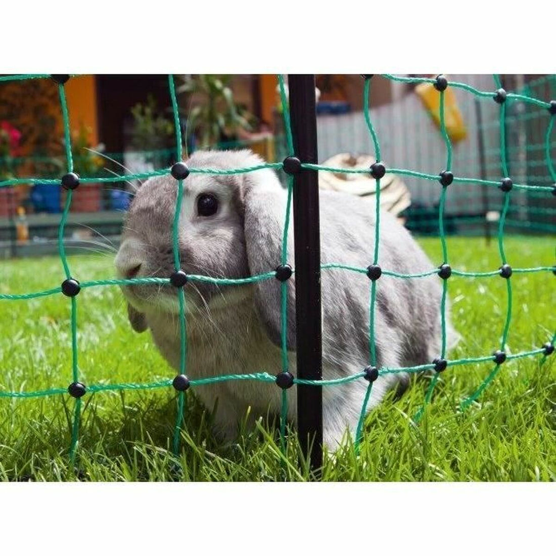 V7H68475CA731D8080C2EDF852B07068BB0R7413689P3