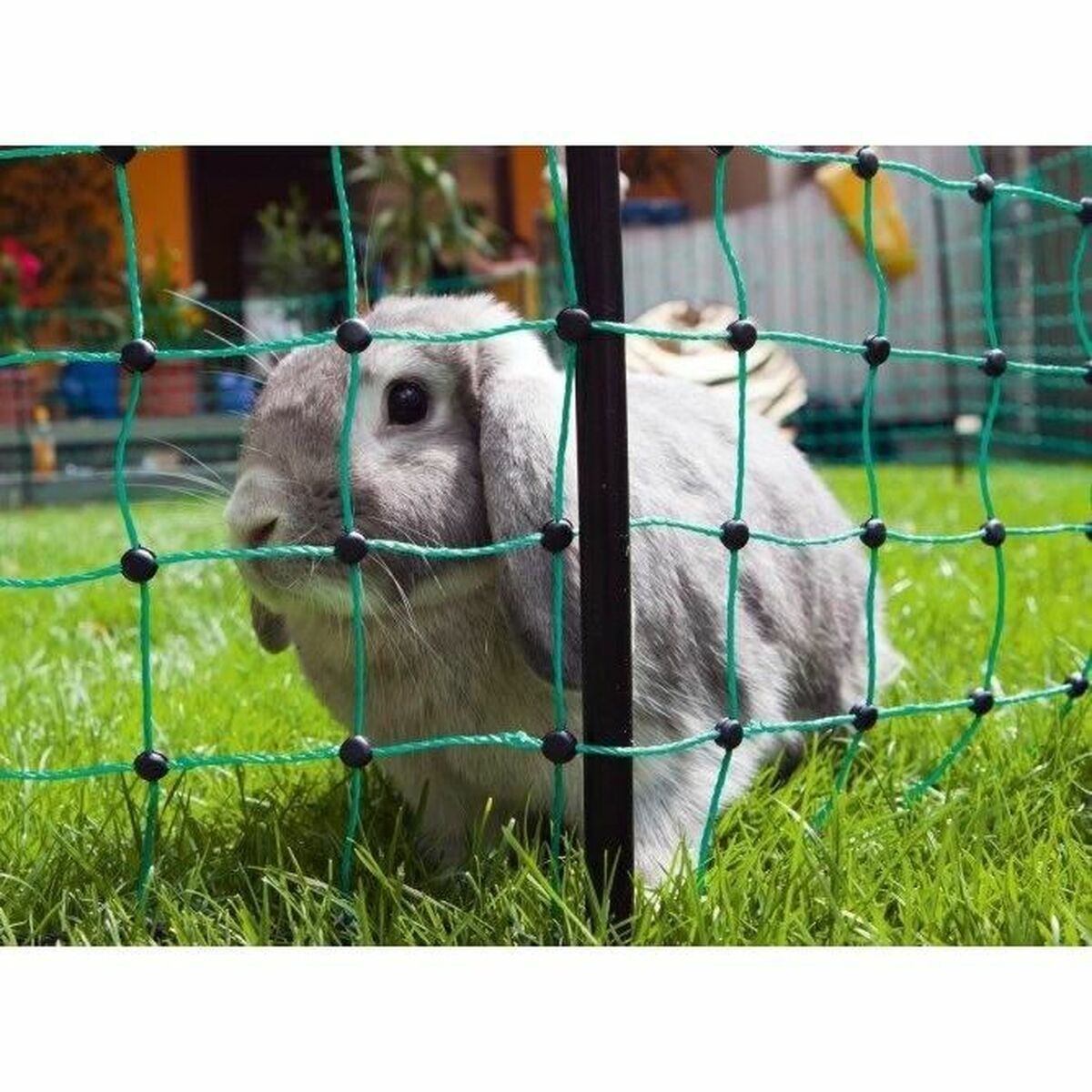 V5H81DDFE00B469871D5CF84B808E64FBEBR7414035P3