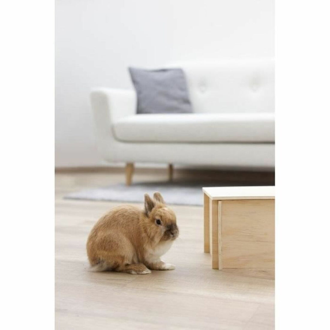 V8H3ECCC34F06ACD6701BA4DE8C4B8CB4AFR6637548P4