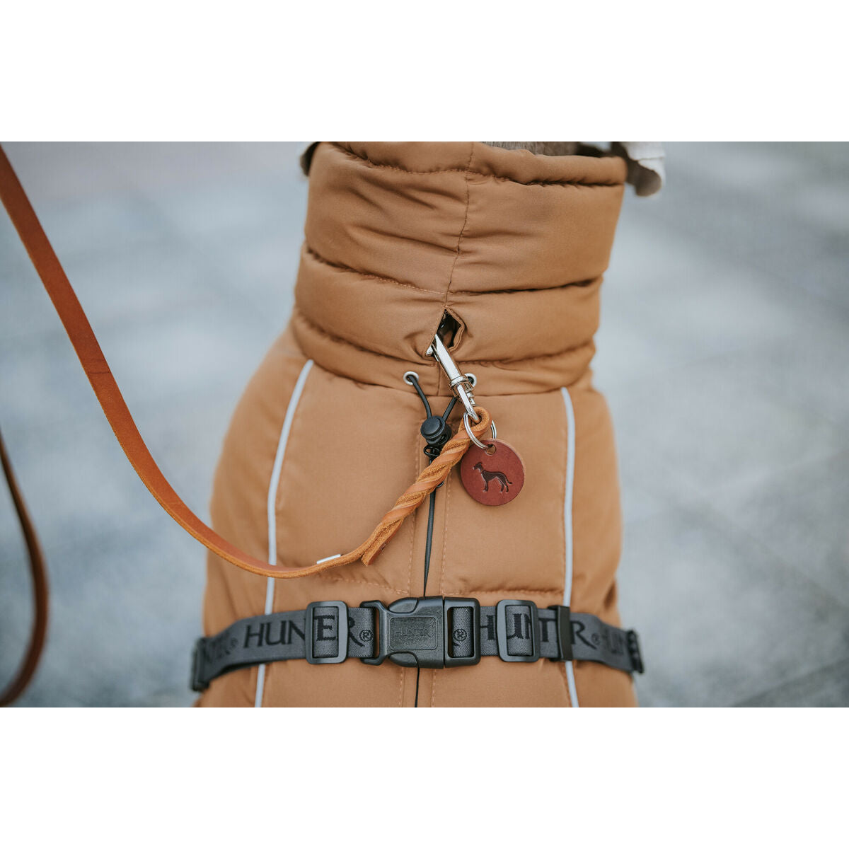 V3H2298217E4329D9441581E9AF15640E85R5575970P7