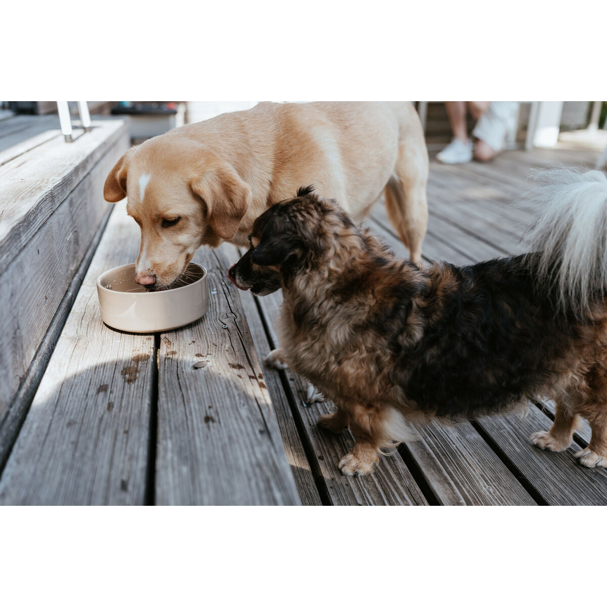 V4H15CA4A8184B12474465F927593094766R6456018P4