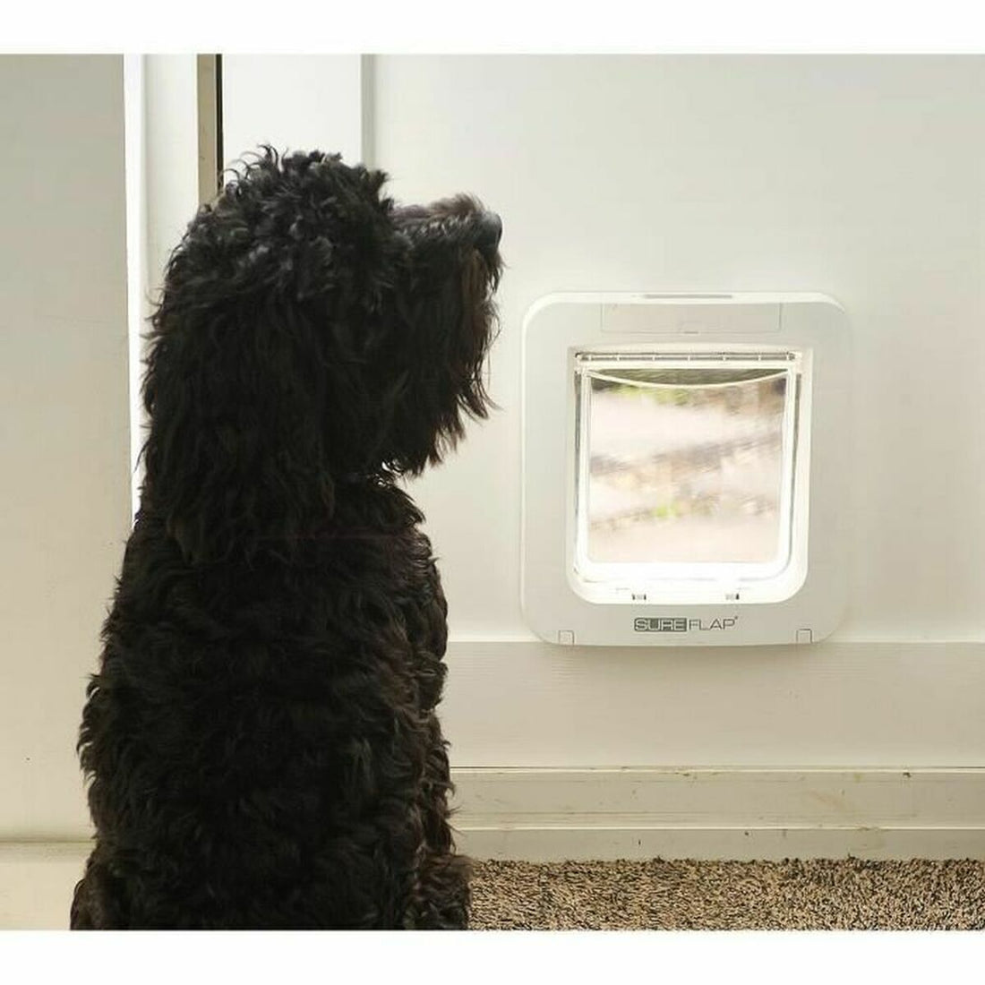 V9HB7994506F60AB8960A3AA4F8C9E77DC0R3745254P4