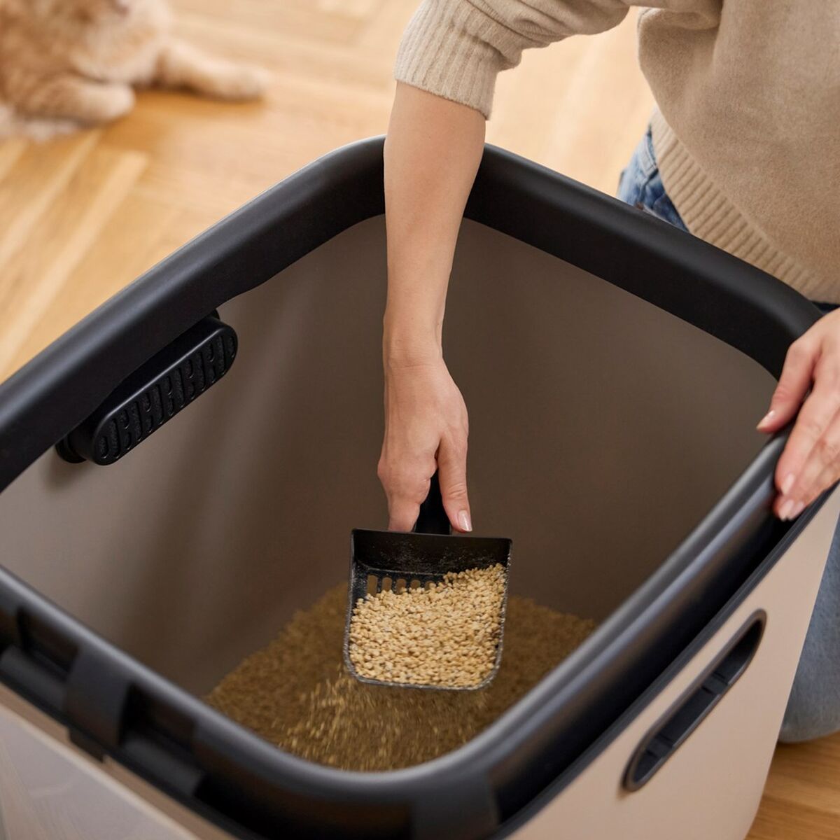 V4H6B8DBD50255CD097A3EB9475394E0493R5624216P5