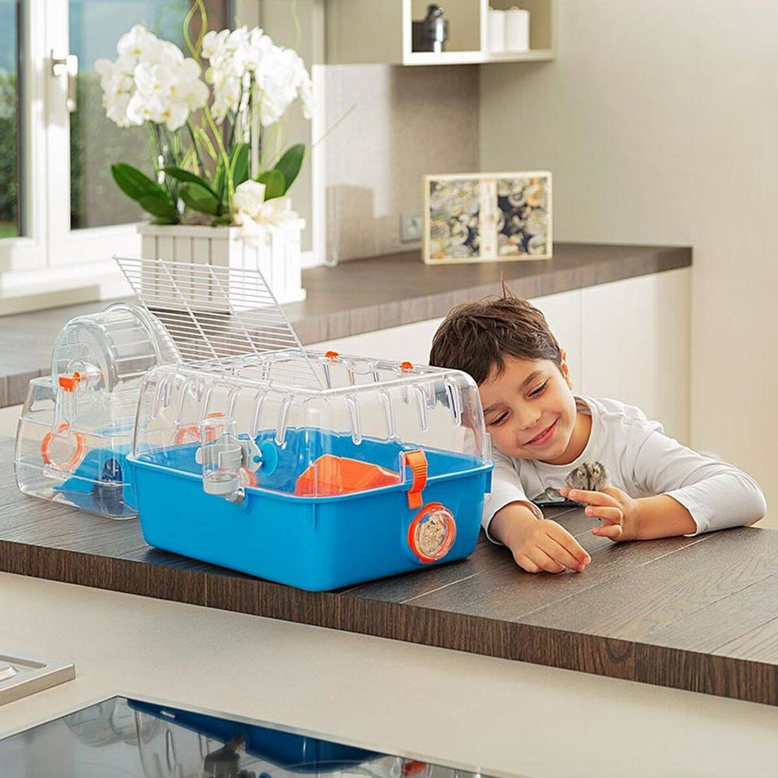 V7H37FA6ABDE8C85A82EA6320D107D82D93R3749113P4