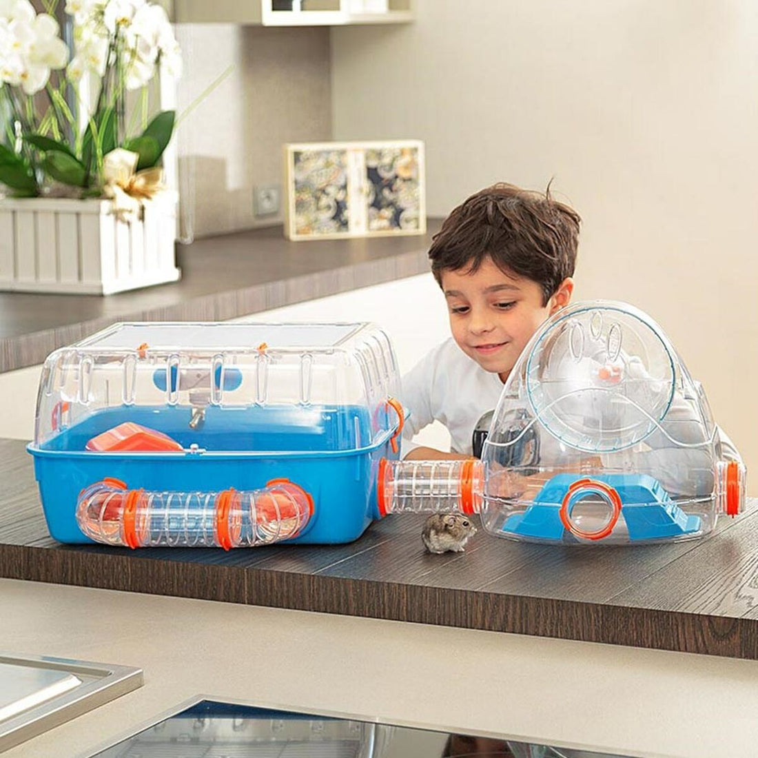 V7HB4ADC111D8D040A8C45E03066A55E4C0R3749114P5