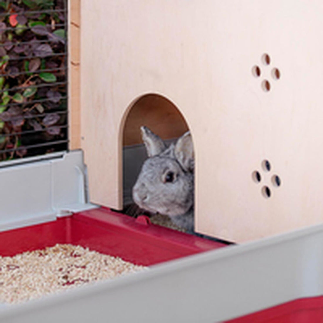 V8HF7C7A093245A8A1436EA03C2346EFD7AR6404047P10