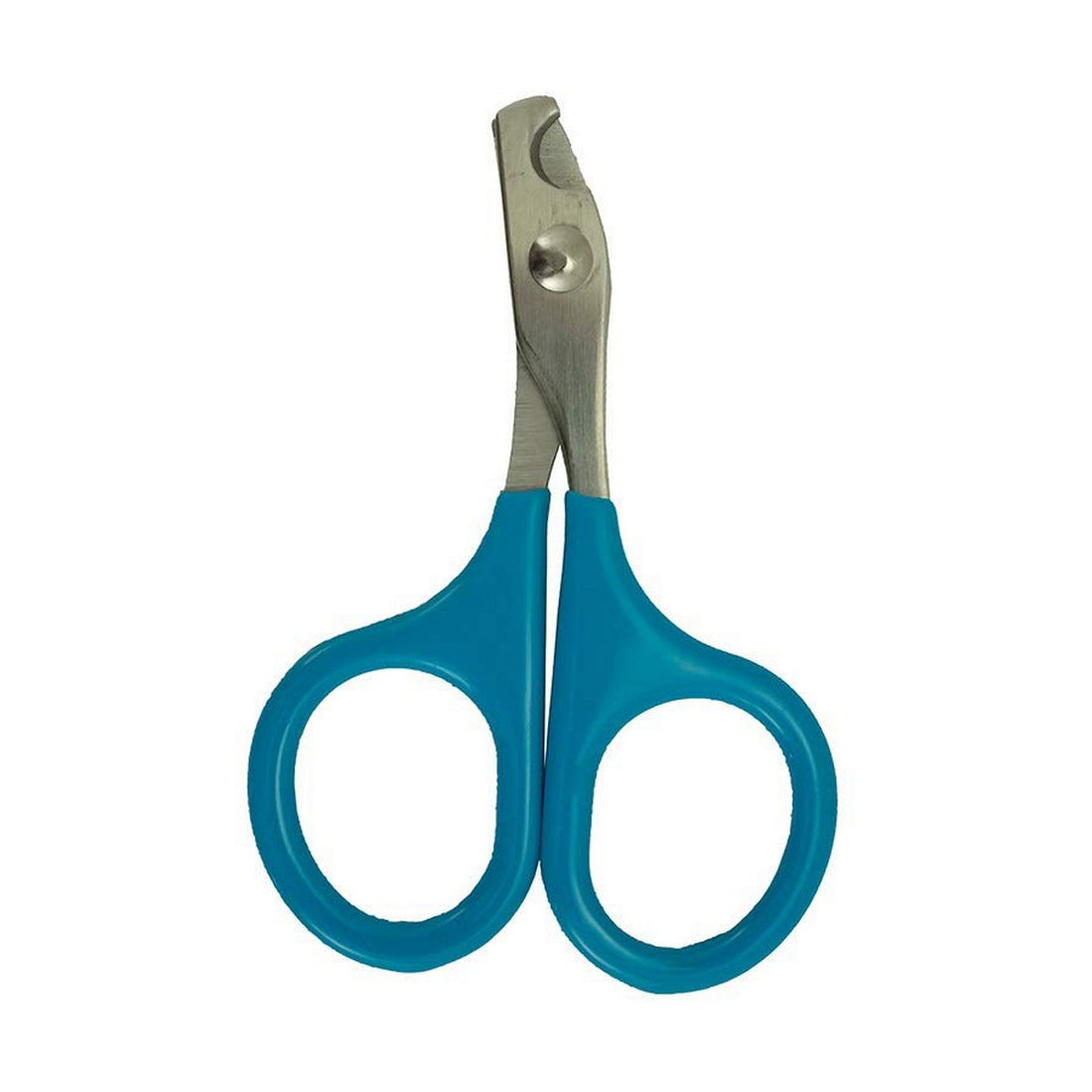 V9HFF2C95038113AEDC621CB2995AB84781R5157263P1