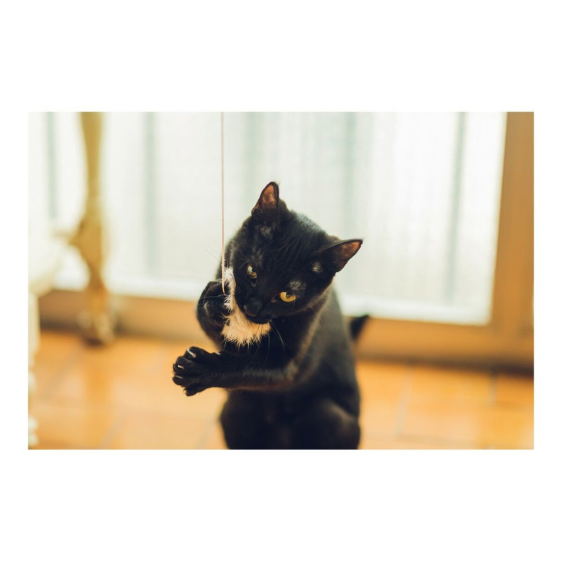 V12H850F2D8185D6DA8A04A450D6A11145A8R4263188P3